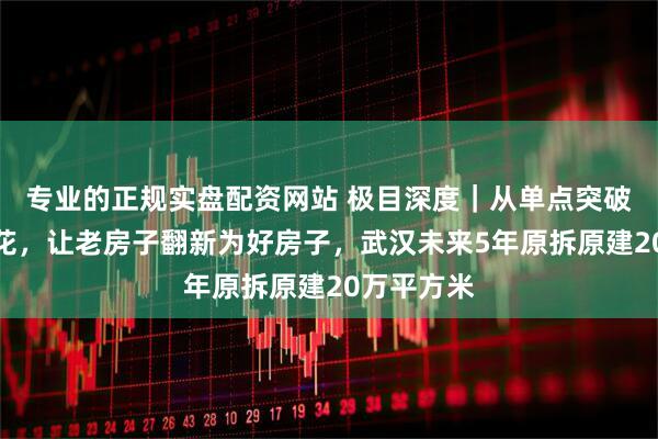 专业的正规实盘配资网站 极目深度｜从单点突破到多点开花，让老房子翻新为好房子，武汉未来5年原拆原建20万平方米